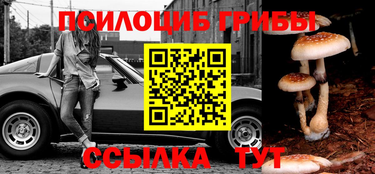 Галлюциногенные грибы MAGIC MUSHROOMS  Вход с VPN  Бердск 