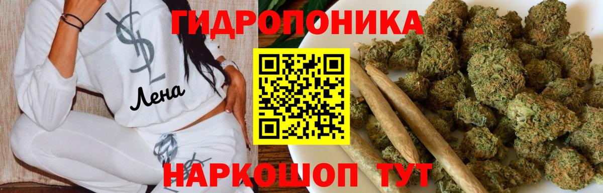 Каннабис Ganja  Каннабис конопля  Шишки марихуана AK-47  Бердск  Вход с VPN 